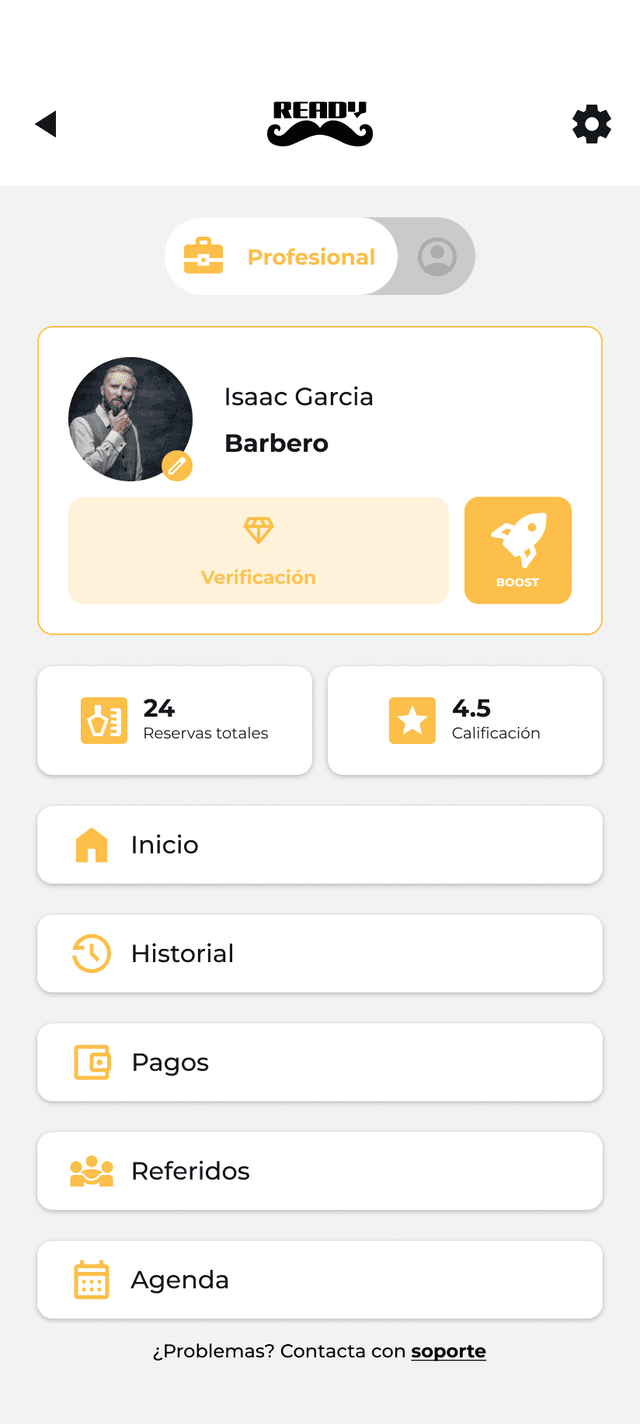 Perfil Pro con BOOST